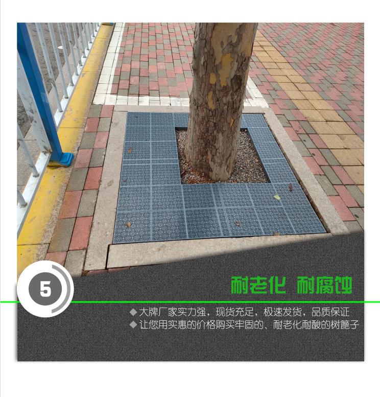 树篦子