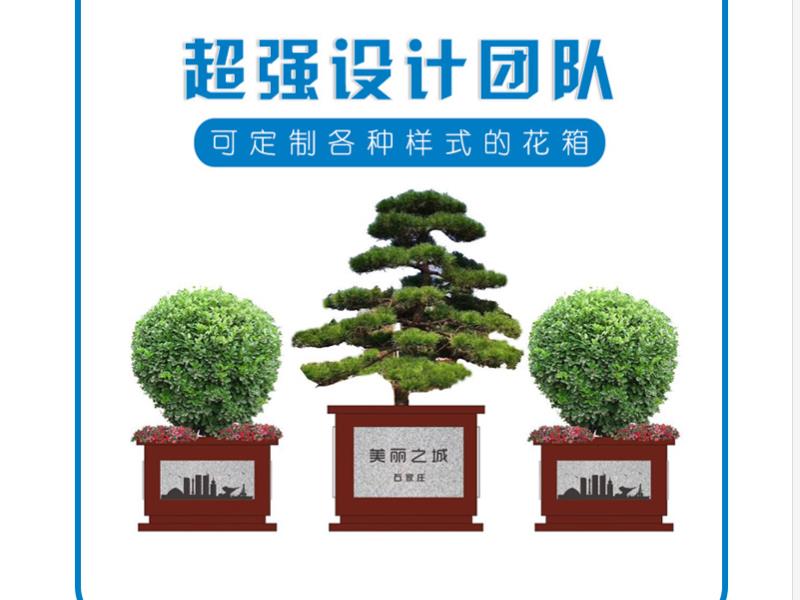 石家庄公园花箱